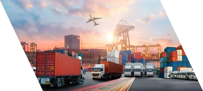 Yurtiçi & Yurtdışı Taşıma ve Dağıtım